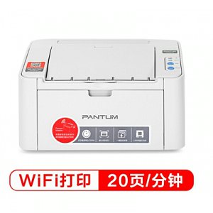 奔图（PANTUM）P2206NW