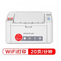 奔图（PANTUM）P2206NW